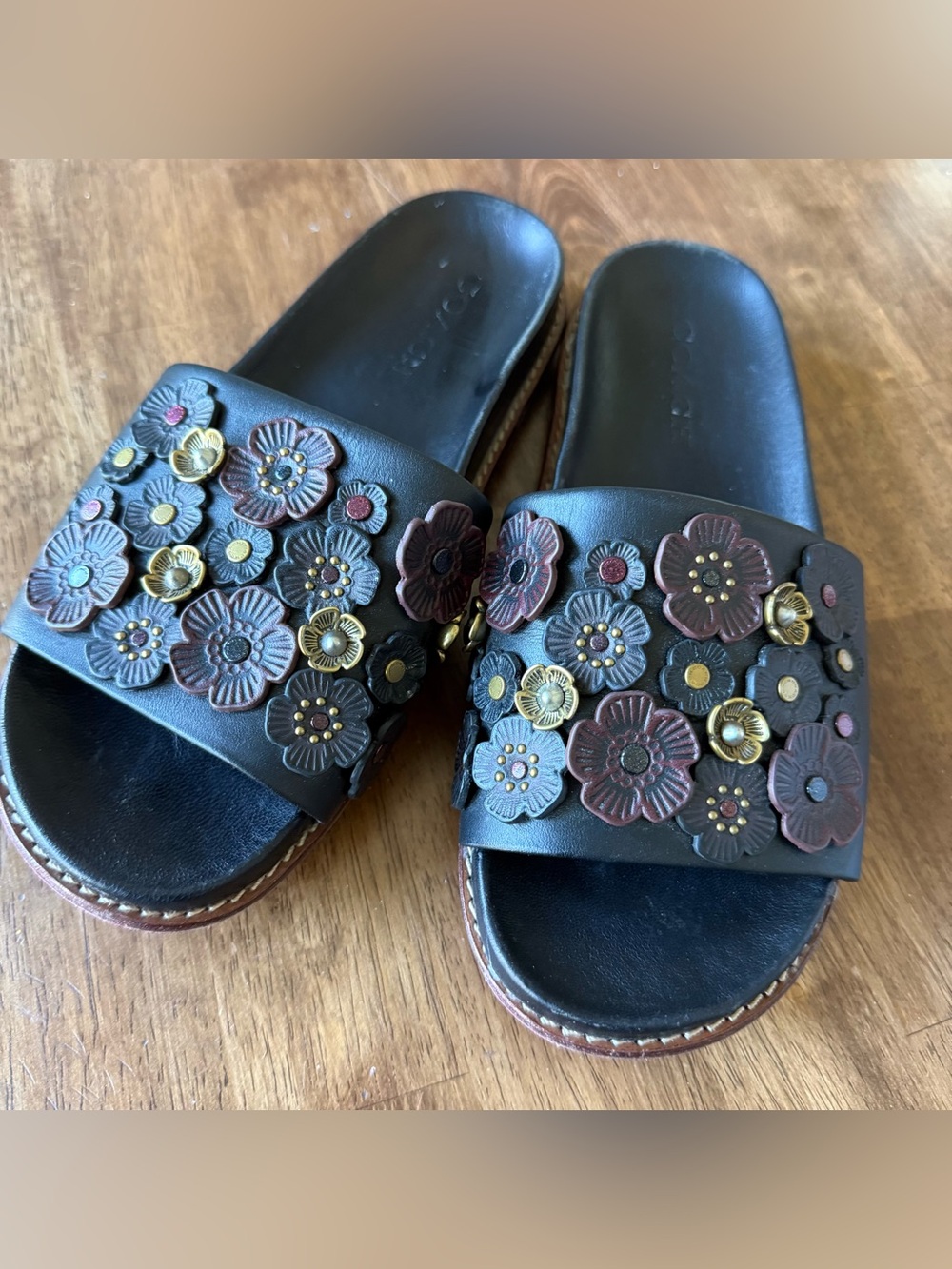 Coach Sophia Tea Rose Slides Sandals Size 8 Black and Purple Appliqué Flowers